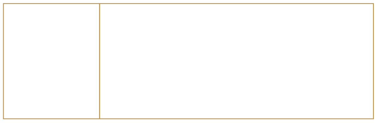 logo Yashi branca e douradapng-04